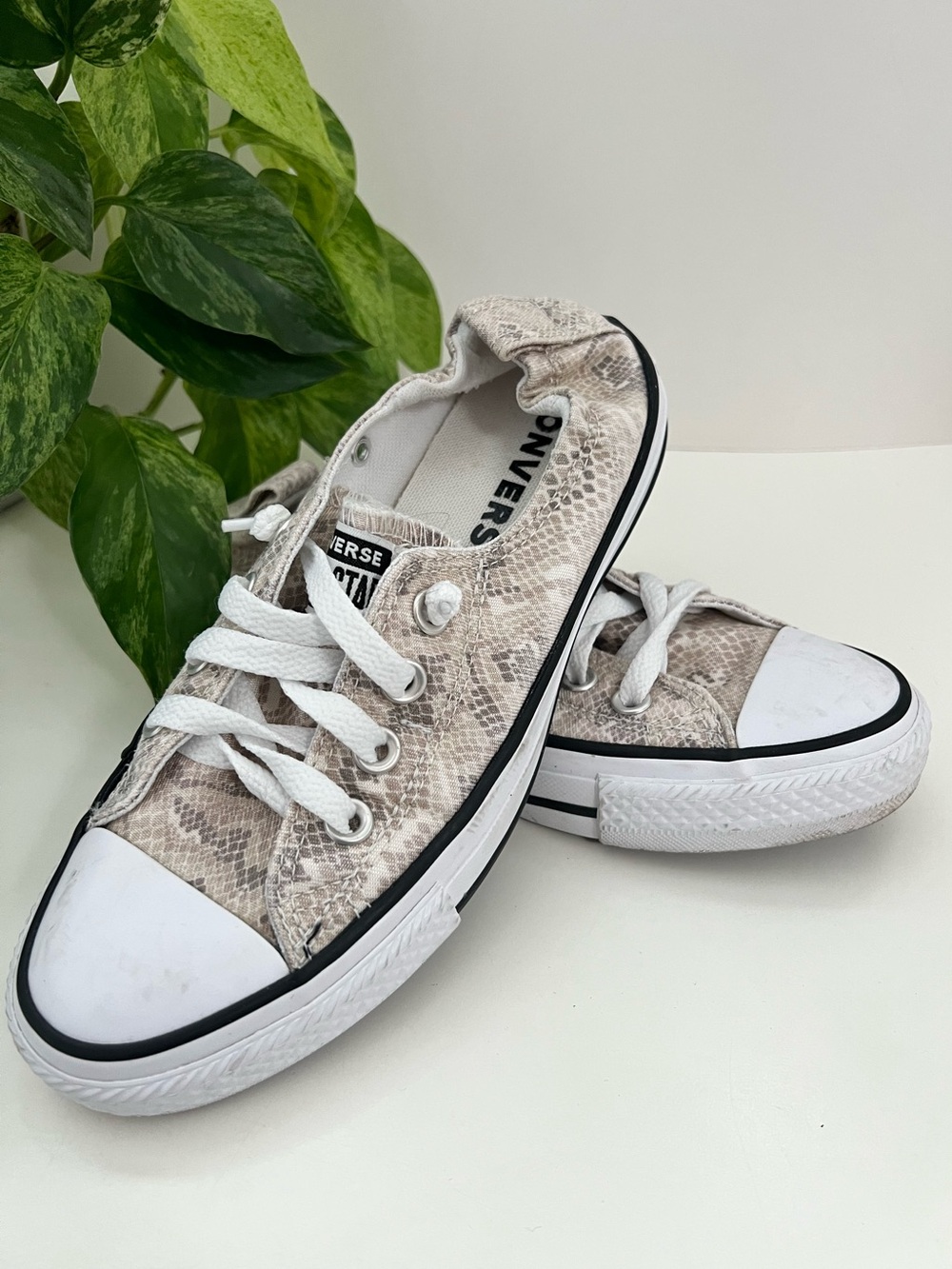 Converse Chuck Taylor All Stars Slip On Shoreline Sneakers, Snakeskin, Size 6